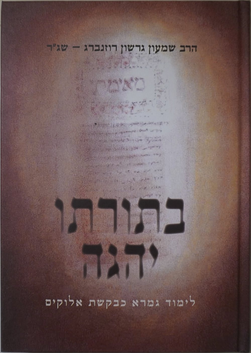 Cover of In His Torah He Meditates