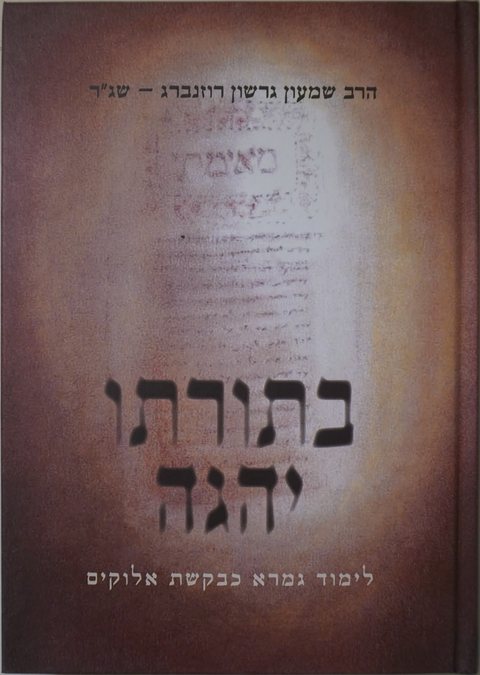 Cover of In His Torah He Meditates