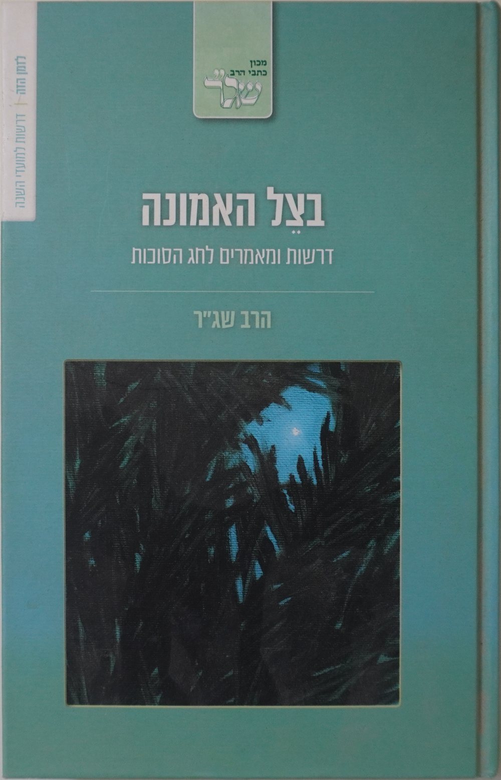 Cover of In the Shadow of Faith